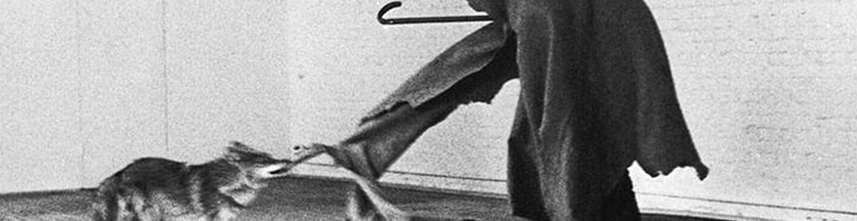 ¿Agonía o permanencia del arte contemporáneo?