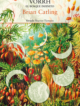 ESPEJO DEL ALBA PERDIDA