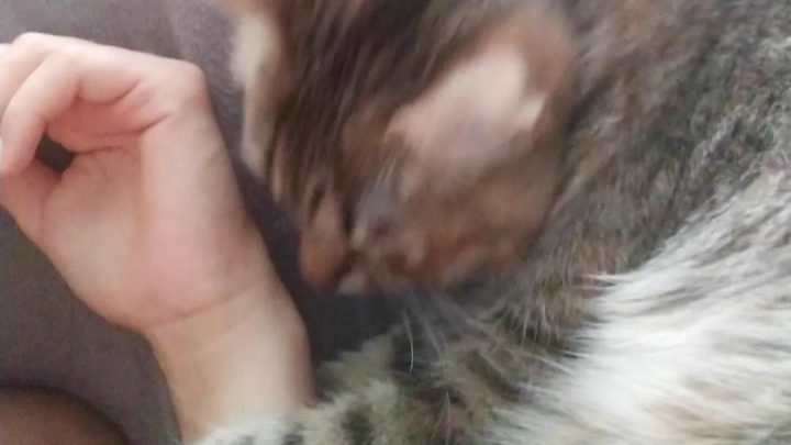 QUÉ BIEN NOS HACE EL LOCO, SEÑOR, PERO LEJOS, SIEMPRE LEJOS, QUE DA MIEDO.