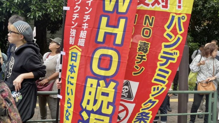 TÚ QUE NO PUEDES. DE BURROS, CORDEROS Y JAPONESES.