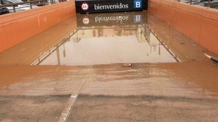 VERDADES A PIE DE BARRO FRENTE A VOCES DE ARCILLA