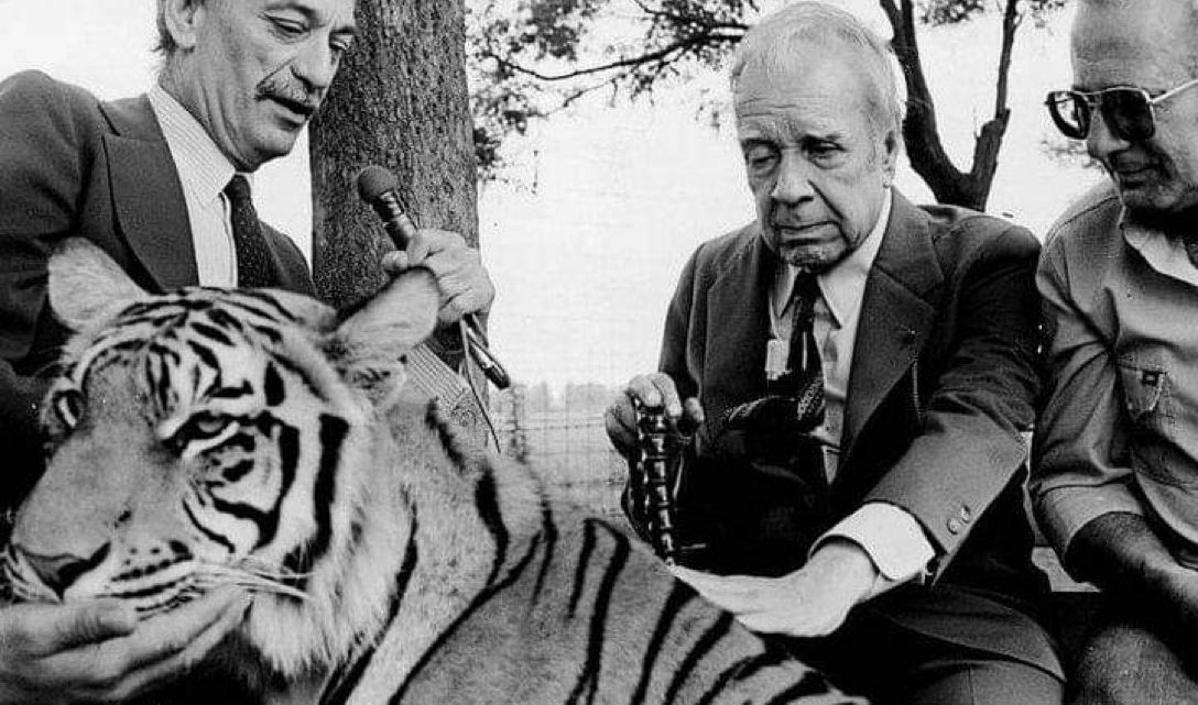 PELÍCULAS QUE PASAN DESAPERCIBIDAS CON PENA Y CUYA GLORIA SE LLEVAN LOS TRUÑOS DE MODA