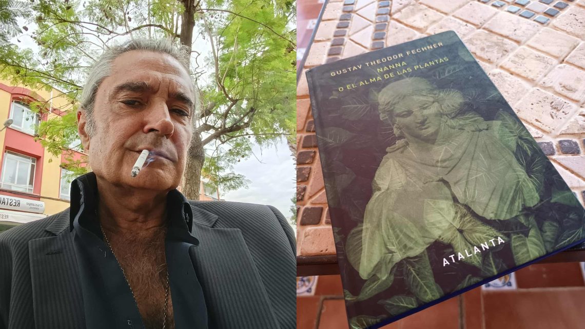 EL ALMA DE LAS PLANTAS Y DE LOS GATOS EL ALMA DE LAS PLANTAS Y DE LOS GATOS